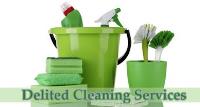 Delited Cleaning Services image 1